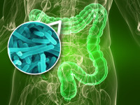 Probiotice – ”microorganisme prietenoase”